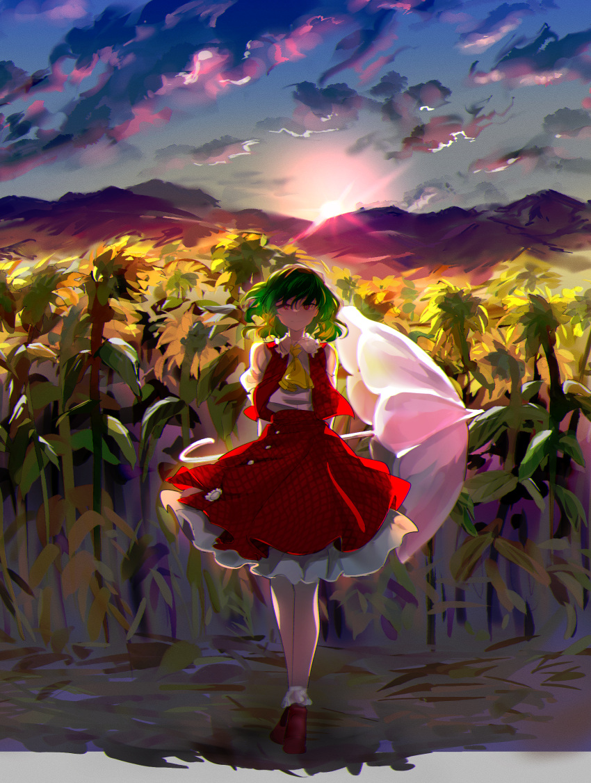 1girl absurdres arms_behind_back ascot blue_sky bobby_socks boots brown_footwear buttons chamaruk checkered_clothes cloud cloudy_sky collared_shirt commentary_request field flower flower_field frilled_shirt_collar frilled_skirt frills full_body green_hair highres holding holding_umbrella kazami_yuuka long_sleeves looking_at_viewer mountain outdoors pink_umbrella plaid plaid_skirt plaid_vest red_eyes red_skirt red_vest shirt skirt sky socks solo standing sunflower sunflower_field sunset touhou umbrella vest white_shirt white_socks yellow_ascot