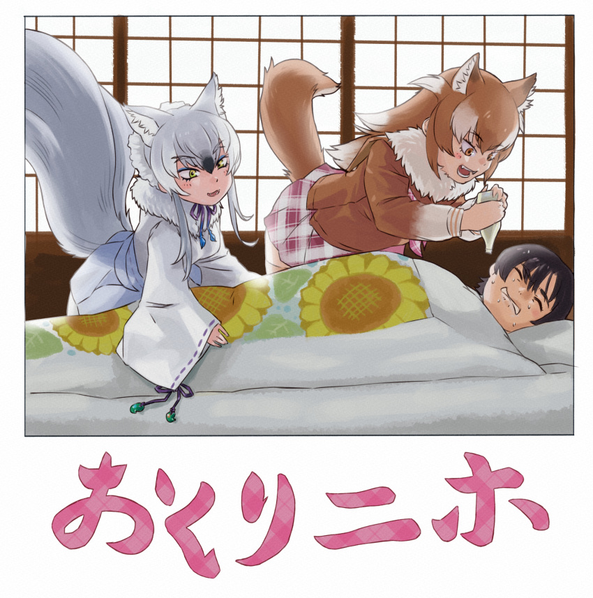 1boy 2girls animal_ears bent_over black_hair bottle brown_eyes brown_hair captain_(kemono_friends) closed_eyes fang fur_collar highres holding holding_bottle indoors japanese_clothes japanese_wolf_(kemono_friends) kemono_friends kemono_friends_3 kimono kneeling leaning_forward long_hair long_sleeves looking_at_another lying makami_(kemono_friends) miniskirt multicolored_hair multiple_girls multiple_tails nervous_sweating on_back open_mouth parted_lips plaid plaid_skirt short_hair short_hair_with_long_locks skirt smile struggling sweat tail thighhighs toriny translation_request white_hair wide_sleeves wolf_ears wolf_girl wolf_tail yellow_eyes zettai_ryouiki