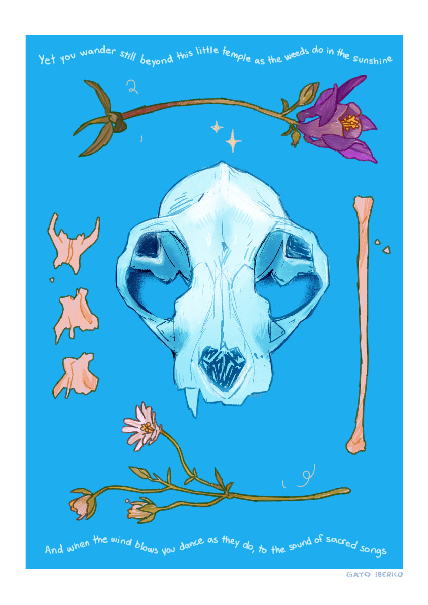 animal_skull artist_name blue_background bone commentary english_commentary english_text flower gatoiberico highres no_humans original purple_flower simple_background skull white_flower