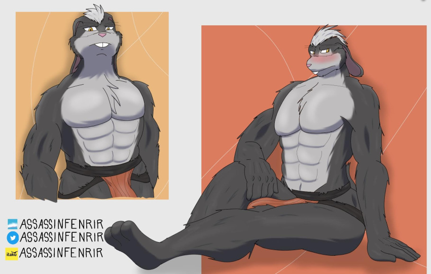 abs anthro assassinfenrir blush buckteeth bulge chest_tuft clothing colored fur grey_body grey_fur grey_hair hair hi_res jockstrap lagomorph leporid male mammal multicolored_body multicolored_fur muscular muscular_anthro muscular_male orange_eyes pecs pink_nose rabbit shaded simple_background solo teeth tuft two_tone_body two_tone_fur underwear watermark