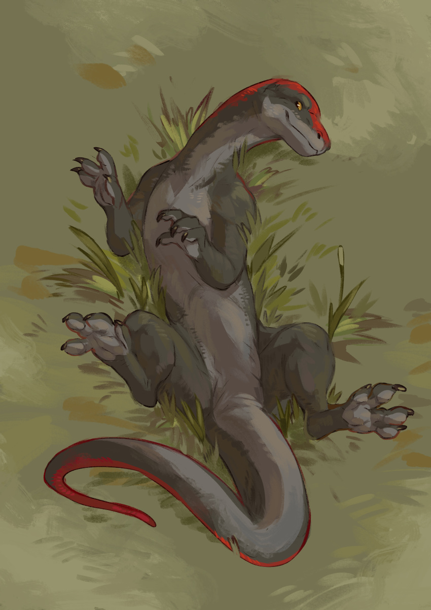 4_toes abstract_background absurd_res ambiguous_gender babanasaur black_body black_skin claws dragon feet female_(lore) feral grass grey_body grey_skin hi_res legs_in_air lying on_back pawpads paws plant red_body red_skin riven_(atrumpet) scalie smile solo spread_legs spreading tail toes wingless_dragon yellow_eyes