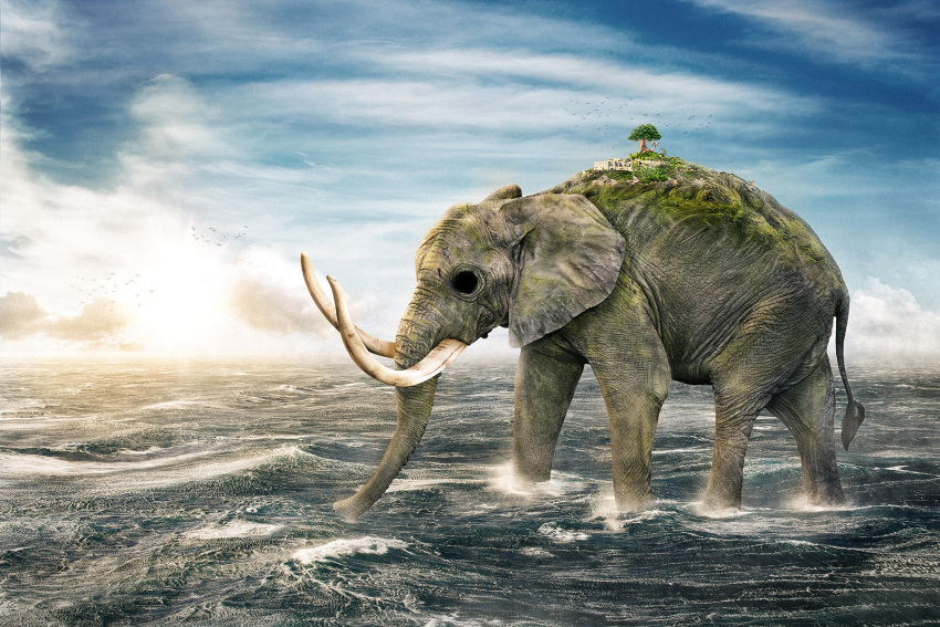 animal cloud cloudy_sky day elephant empty_eyes from_side full_body highres island male_focus ocean on_water one_piece outdoors realistic sky solo standing sunset thanawat_thepphongsri tree tusks walking water zunesha