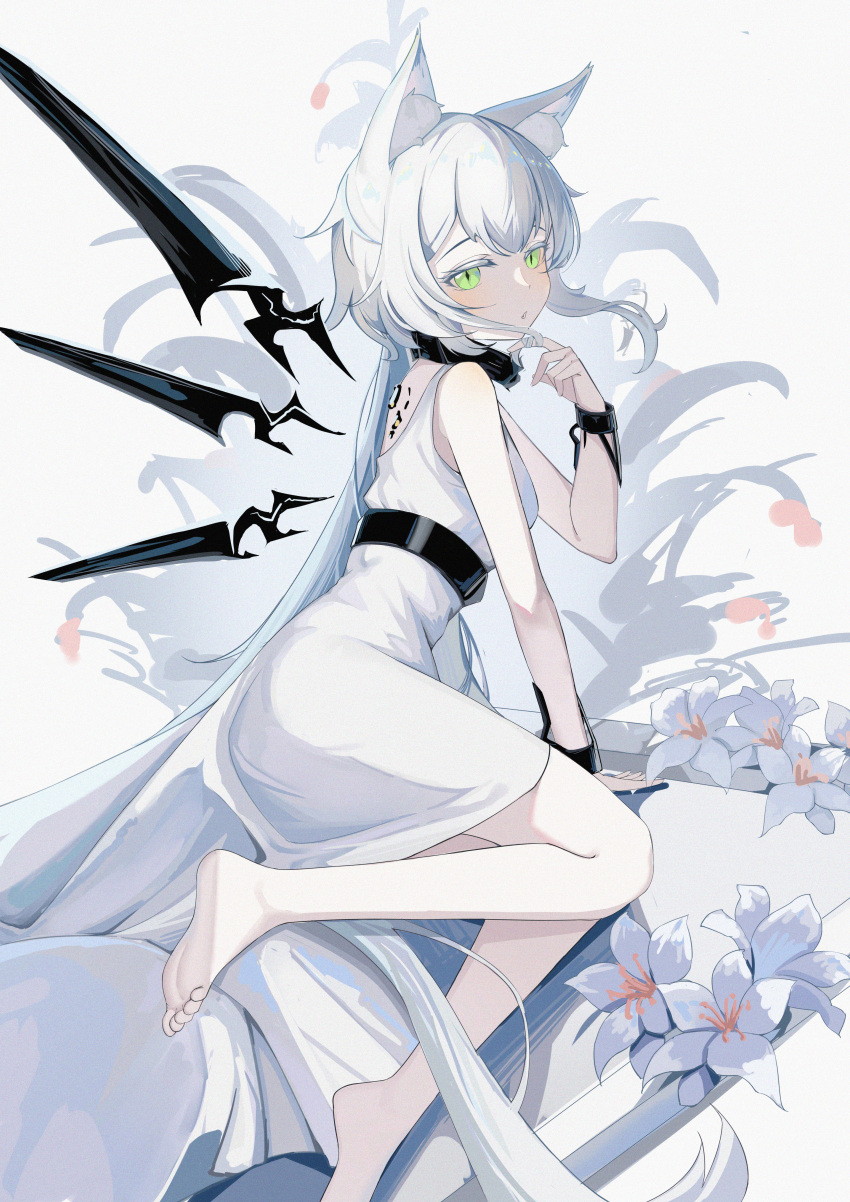 1girl absurdres animal_ears arknights bare_shoulders barefoot cat_ears cat_girl cat_tail chinese_commentary commentary detached_wings dress flower highres lahz52 long_hair looking_at_viewer oripathy_lesion_(arknights) rosmontis_(arknights) rosmontis_(become_anew)_(arknights) simple_background sleeveless sleeveless_dress solo tail very_long_hair white_background white_dress white_flower white_hair wings
