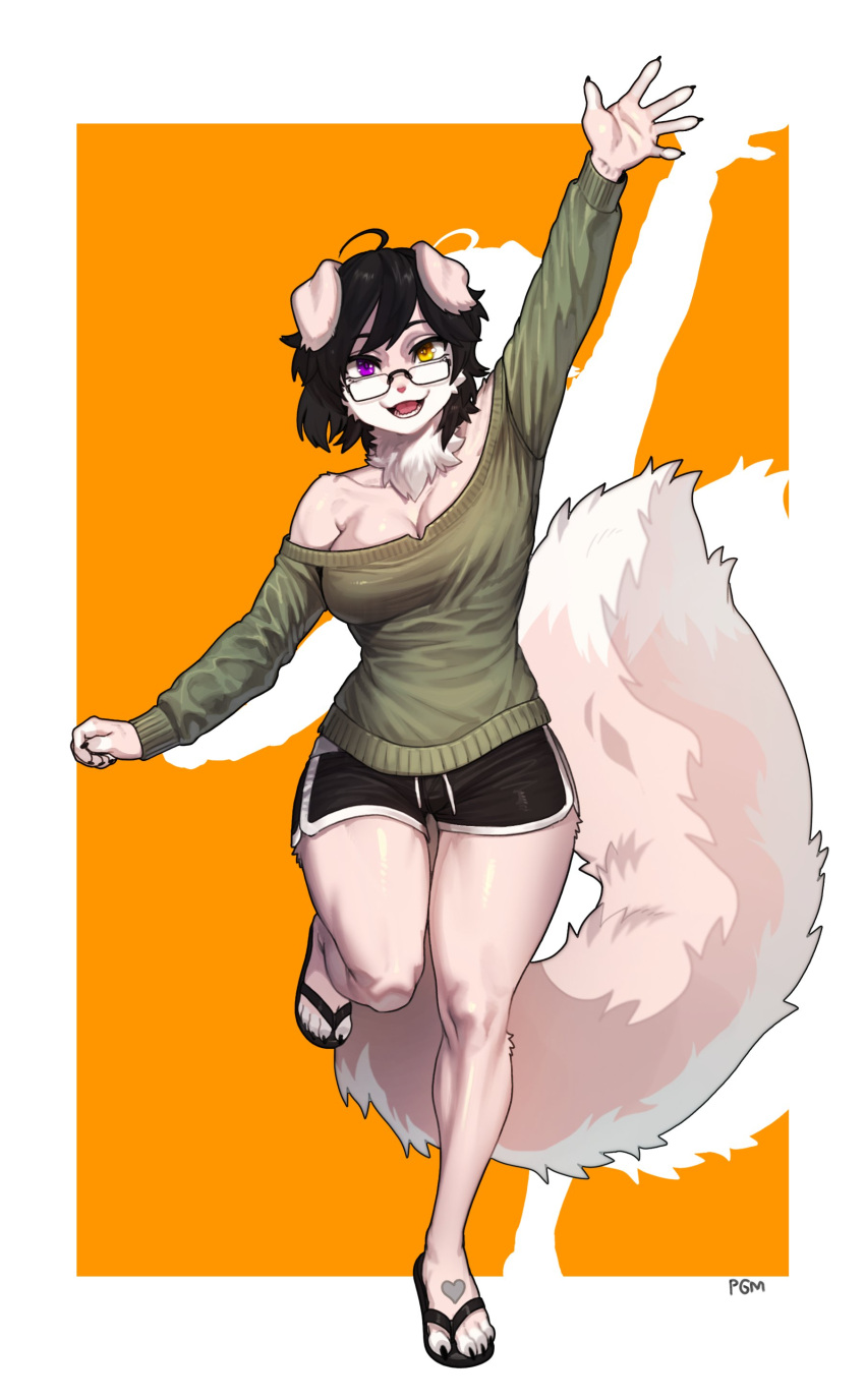 absurd_res anthro back_hair big_tail body_hair bottomwear canid canine canis clothed clothing domestic_dog eyewear female flip_flops floppy_ears fluffy fluffy_tail footwear fully_clothed fur gesture glasses gym_bottomwear gym_clothing gym_shorts hair heterochromia hi_res long_sleeve_shirt mammal open_mouth pgm300 raised_arm sandals shirt shorts solo tail topwear waving waving_at_viewer white_body white_fur