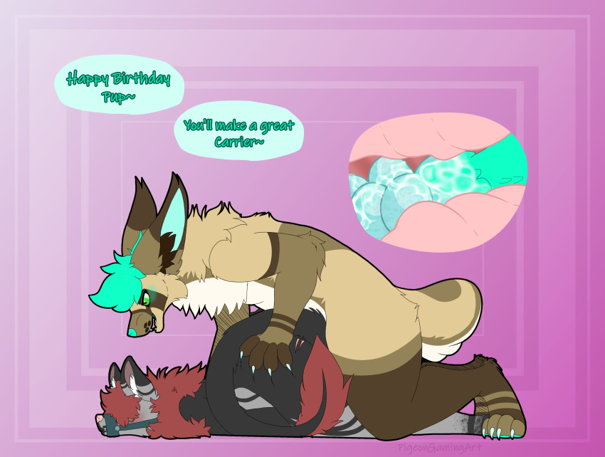 absurd_res alien alien_hybrid anthro big_ears birthday birthday_sex canid canine canis cody_the_fennec dialogue duo egg egg_insertion fennec fennec_hybrid fox genitals gift hi_res hybrid hybrid_genitalia larger_male larger_top male male/male mammal mars_the_wolf muzzle_(object) muzzled pigeongamingart scratch_mark scratches scratching sex simple_background size_difference small_bottom speech_bubble wolf