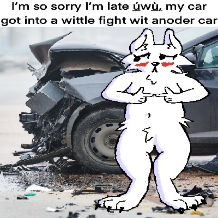 ambiguous_gender anthro awkward blush blush_lines car car_crash dialogue dialogue_box embarrassed hi_res lolscarletxi looking_away meme paws photo_background photography_(artwork) solo standing vehicle