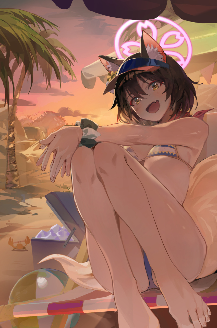 1girl absurdres animal_ear_fluff animal_ears ass ball bare_legs bare_shoulders barefoot beach beach_chair beach_umbrella beachball bikini blue_archive blue_bikini breasts brown_hair cloud commentary cooler crab evening fang feet flower fox_ears fox_girl fox_tail hair_flower hair_ornament highres izuna_(blue_archive) izuna_(swimsuit)_(blue_archive) kawa683 legs legs_together looking_at_viewer open_mouth outdoors own_hands_together palm_tree red_scarf sand scarf scrunchie short_hair sitting skin_fang small_breasts smile solo striped striped_bikini sunset swimsuit tail thighs toes tree umbrella visor_cap wrist_scrunchie yellow_eyes