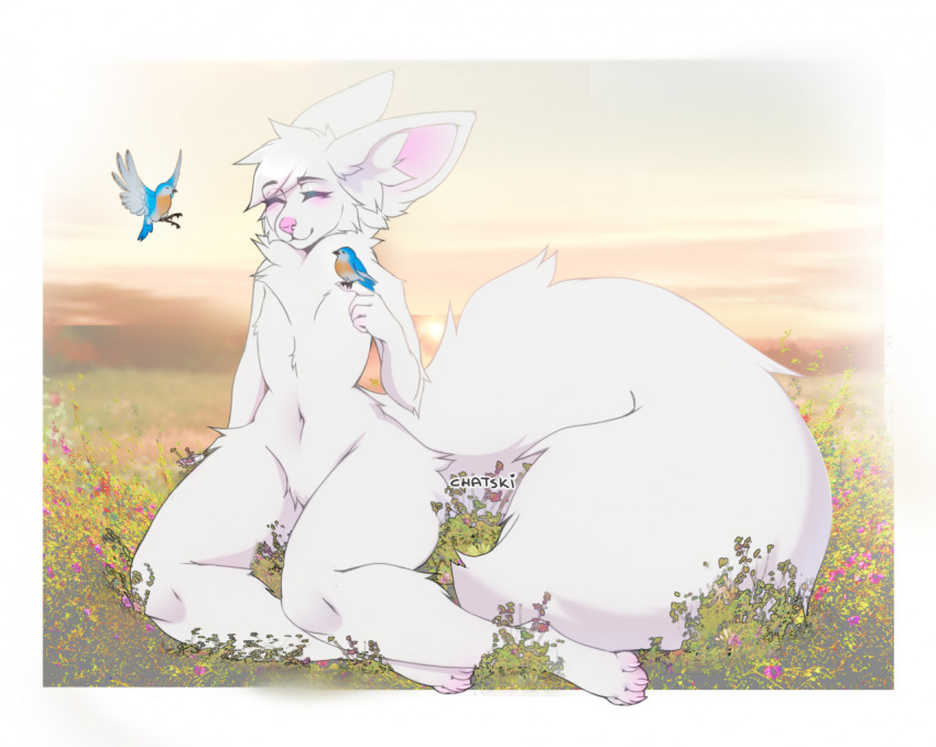 anthro avian belly big_ears bird blush canid canine chatski field field_background flower fluffy fluffy_fur fluffy_tail fox fur grass male mammal navel paws pink_nose plant smile solo sunset tail white_body white_fur wide_hips