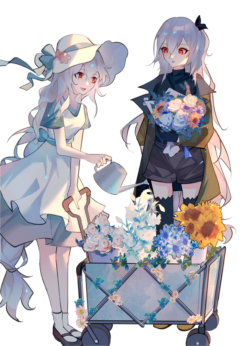 2girls :d absurdres ampheta arknights black_footwear black_shirt black_shorts black_thighhighs blue_flower blue_rose bouquet brown_jacket cart character_request commentary_request dress flower grey_hair hair_between_eyes highres holding holding_bouquet jacket long_hair multiple_girls open_clothes open_jacket red_eyes rose shirt shoes short_sleeves shorts simple_background smile socks standing thighhighs very_long_hair watering_can white_background white_dress white_flower white_headwear white_rose white_socks yellow_flower