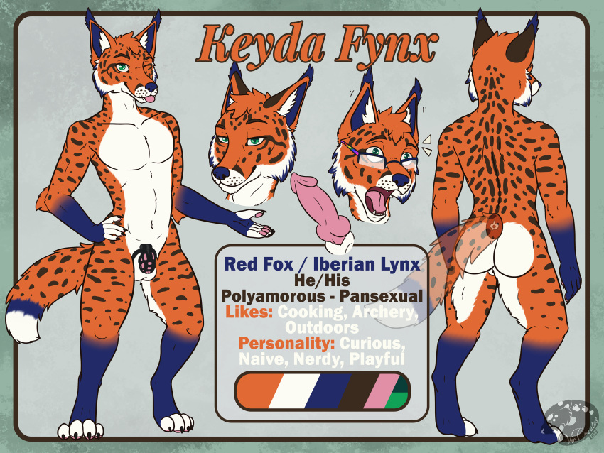 absurd_res blue cage canid canine chastity_(disambiguation) dock felid feline fox fynx genitals hi_res iberian keyda knot lynx male mammal model_sheet navy orange penis sheet_(disambiguation)