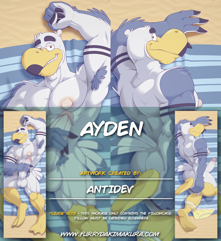 2023 anthro anti_dev armpit_hair avian ayden_(brogulls) balls beach beak bedroom_eyes big_penis bird body_hair briefs briefs_down butt clothing dakimakura_design dakimakura_pose erection eyebrows facial_hair feathers feet foot_grab genitals gull hi_res lari larid looking_at_viewer lying male muscular muscular_anthro muscular_male narrowed_eyes nipples nude nude_male on_back penis penis_grab pubes sand seaside seductive smile solo tail_feathers thick_eyebrows towel underwear