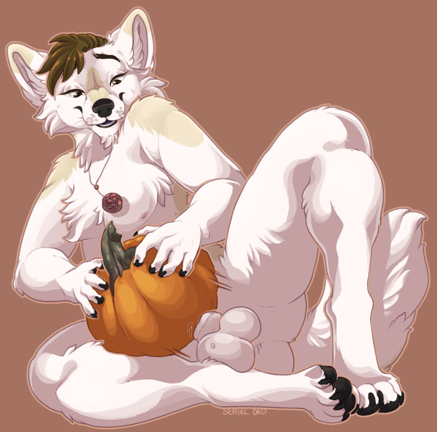 anthro anthro_penetrating balls feet fluffy food fruit genitals hi_res humping improvised_sex_toy jewelry male male_penetrating necklace paws penetration plant playing_with_your_food pumpkin pumpkin_masturbation pumpkin_seeds sabbyth scruffy serialdad sheath_pressing solo solo_focus tail thrusting toes