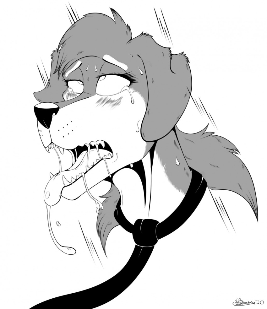 2020 ahegao anthro blush blush_lines bodily_fluids canid canine canis cross-eyed dixie_(wolfn85) dobermann domestic_dog drooling fangs female fur half-closed_eyes headshot_portrait hi_res looking_pleasured mammal marcushunter narrowed_eyes necktie open_mouth orgasm_face pinscher portrait saliva saliva_on_tongue saliva_string solo teeth tongue tongue_out