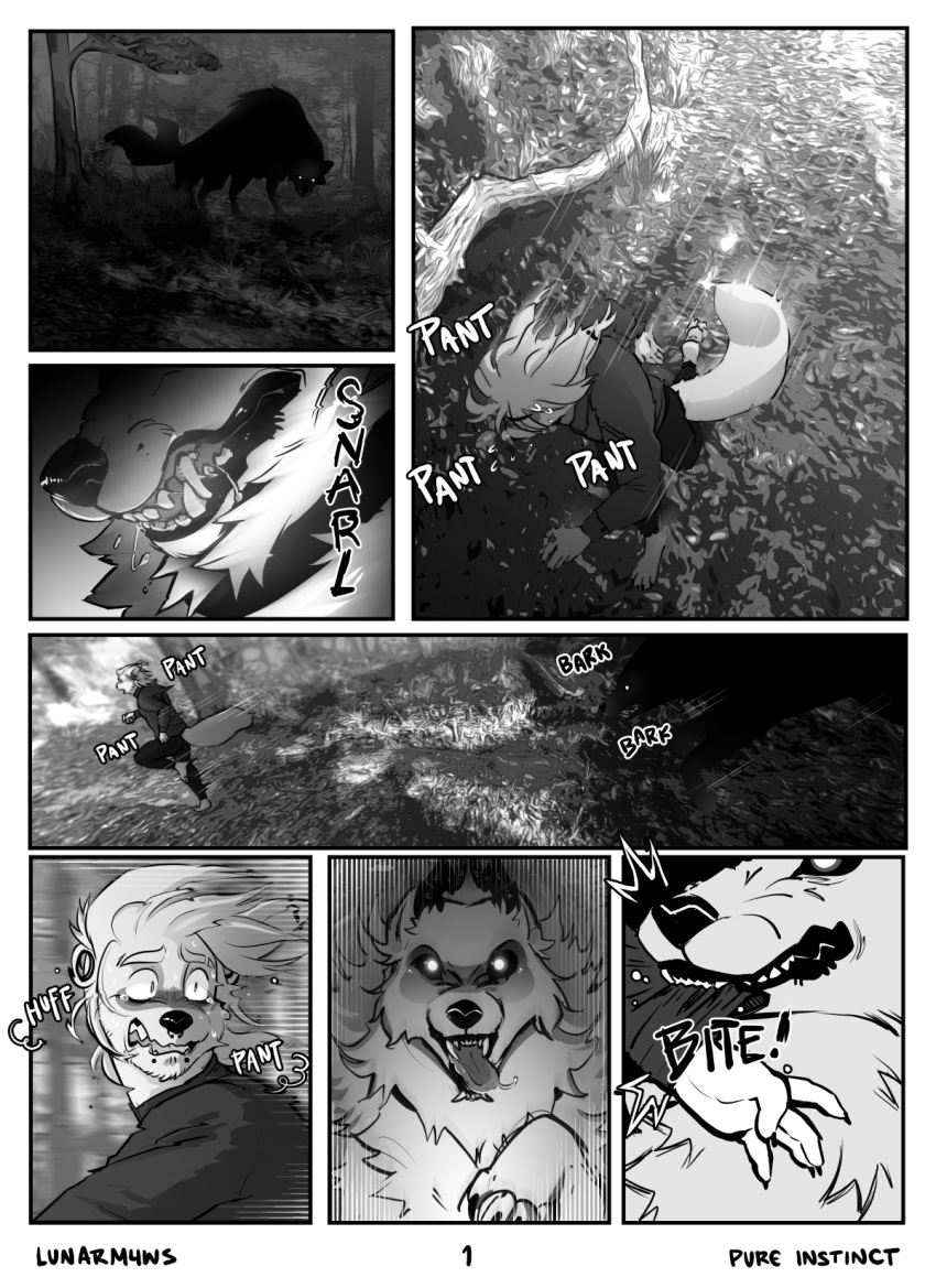 anthro bite black_and_white canid canine canis caracal caracal_(genus) comic domestic_dog duo felid feline feral forest forest_background herm hi_res hunting_dog intersex intersex/male isaac_(lumens8ite) lumens8ite male mammal monochrome nature nature_background open_mouth plant predator/prey predatory_look questionable_consent scared size_difference sugarpill_(lumens8ite) trans_(lore) tree wolf