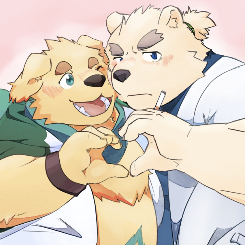 7numpla anthro bear bird_dog blush canid canine canis cigarette clothing coat cu_sith_(tas) domestic_dog duo fur gesture golden_retriever hand_heart hi_res hunting_dog lab_coat leib_(tas) lifewonders male male/male mammal overweight polar_bear retriever scarf smile tokyo_afterschool_summoners topwear ursine white_body white_fur yellow_body yellow_fur