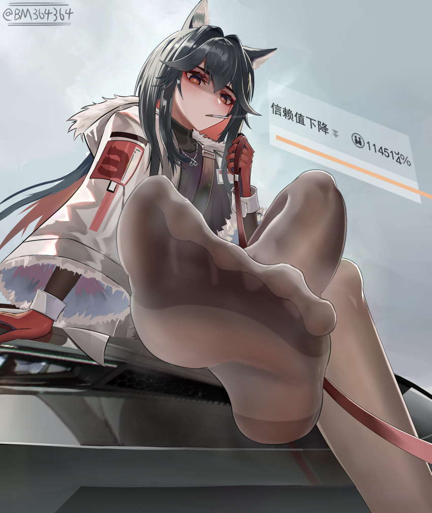 1girl absurdres animal_ears arknights belt black_hair bm_(bm364364) brown_belt brown_pantyhose cigarette colored_inner_hair crossed_legs double-parted_bangs eyelashes feet fine_fabric_emphasis foot_focus foot_out_of_frame foreshortening fur-trimmed_sleeves fur_trim gloves grey_background hair_between_eyes hair_intakes highres holding holding_leash hood hood_down jacket jewelry leash legs long_hair long_sleeves looking_at_viewer mouth_hold multicolored_hair necklace no_shoes pantyhose red_eyes red_gloves red_hair shaded_face sitting smell smoking soles solo spread_toes steaming_body texas_(arknights) toes twitter_username white_jacket wide_sleeves