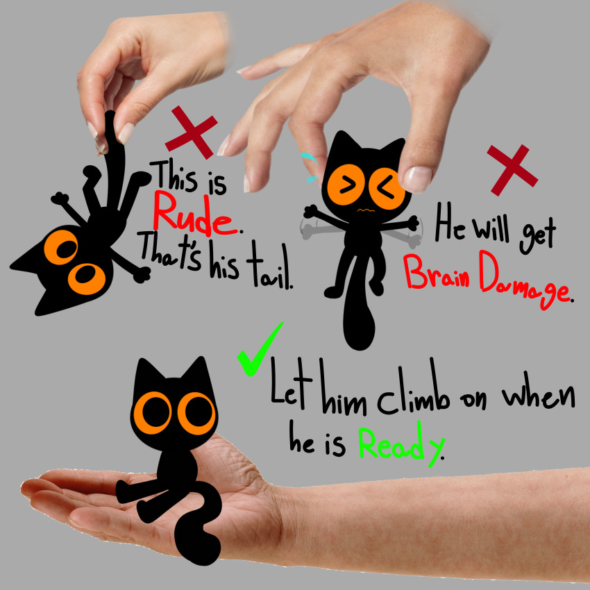 absurd_res axl_(gooblie_2) black_body digital_media_(artwork) disembodied_hand domestic_cat english_text felid feline felis gooblie_2 grey_background hi_res how-to male mammal orange_sclera silly simple_background solo tail text toony