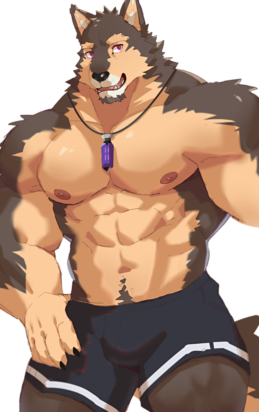 abs absurd_res anthro athletic beard biceps big_arms big_biceps black_nose body_tuft bottomwear brown_body brown_fur brown_hair canid canine canis claws clothing domestic_dog eyebrows facial_hair facial_tuft fangs fur goatee hair hand_on_hip hand_on_leg hi_res jewelry kedama_299 looking_aside male mammal multicolored_body muscular muscular_anthro muscular_legs muscular_male necklace nipples open_mouth pecs pose pubes purple_eyes serratus sharp_teeth shorts simple_background solo tail tan_body tan_fur teeth tuft underwear white_background wolf