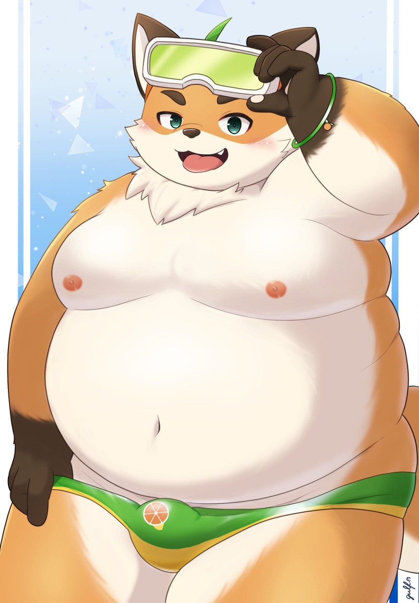 anthro belly blush bulge canid canine clothing eyewear fox fur goggles green_eyes gulf_rp hi_res iyo_(tamacolle) male mammal moobs navel nipples orange_body orange_fur overweight solo speedo suggestive_look swimwear tamacolle