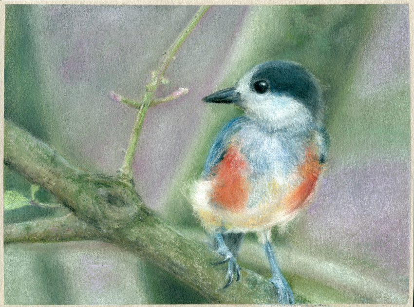 absurdres amima_amita animal bird blue_sky branch highres looking_to_the_side no_humans original painting_(medium) pastel_(medium) realistic sky still_life traditional_media