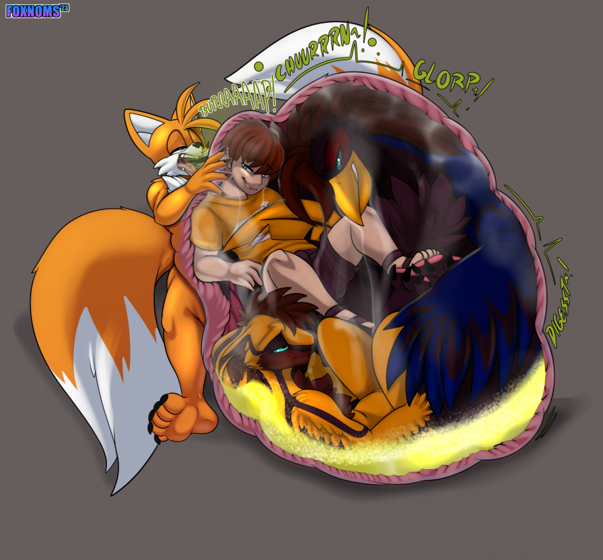 anthro avian belly big_belly bird bodily_fluids burping canid canine digestion digestion_noises fatal_vore feet fox foxynoms fur group hi_res humanoid internal large_prey male mammal miles_prower oral_vore organs sega soles sonic_the_hedgehog_(series) stomach stomach_acid vore yellow_body yellow_fur