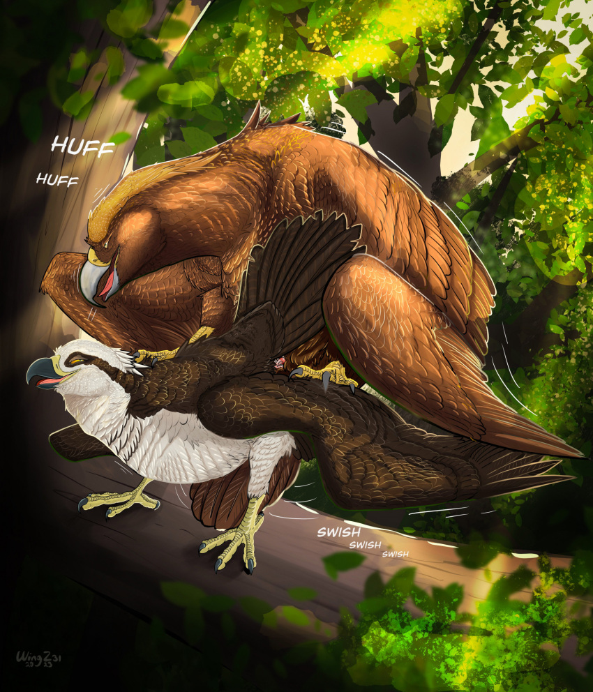 2023 accipitrid accipitriform ambiguous/ambiguous ambiguous_gender animal_genitalia avian bird breath cloaca cloacal cloacal_kiss detailed_background eagle feral feral_on_feral genitals golden_eagle hi_res lurk_(wingz31) male_(lore) osprey outside panting sawyer_(ferobird) sex true_eagle wingz31