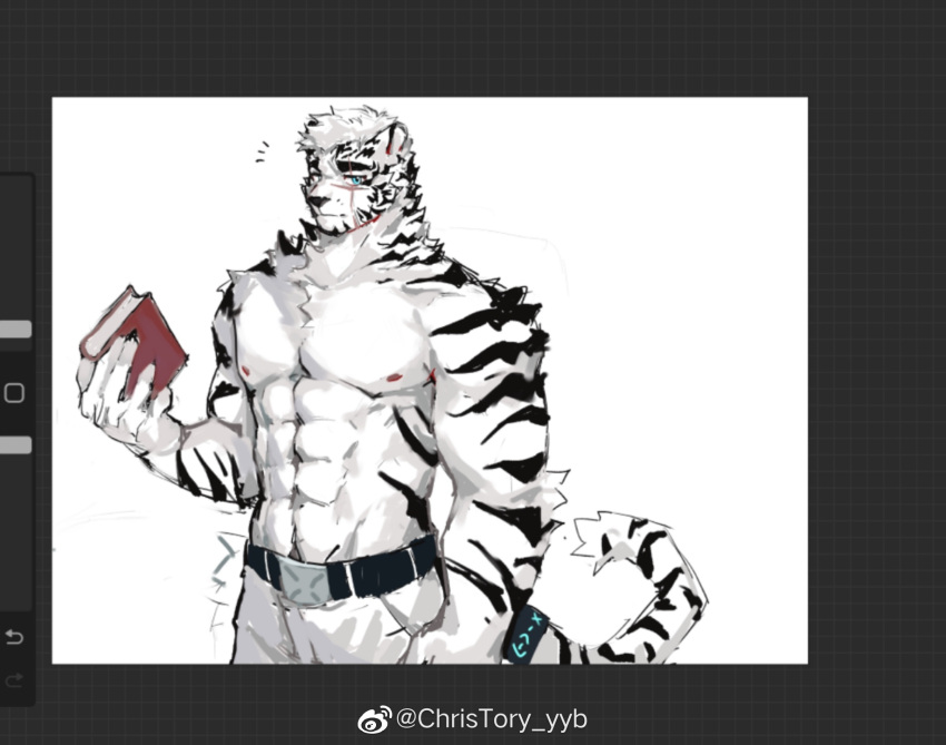 1boy abs animal_ears arknights bara book christory_yyb eyebrow_cut facial_hair feet_out_of_frame furry furry_male goatee highres holding holding_book large_pectorals light_smile looking_at_viewer male_focus mountain_(arknights) muscular muscular_male navel navel_hair nipples pants pectorals short_hair solo stomach tail tail_ornament tail_ring thick_eyebrows tiger_boy tiger_ears topless_male unfinished white_fur white_pants
