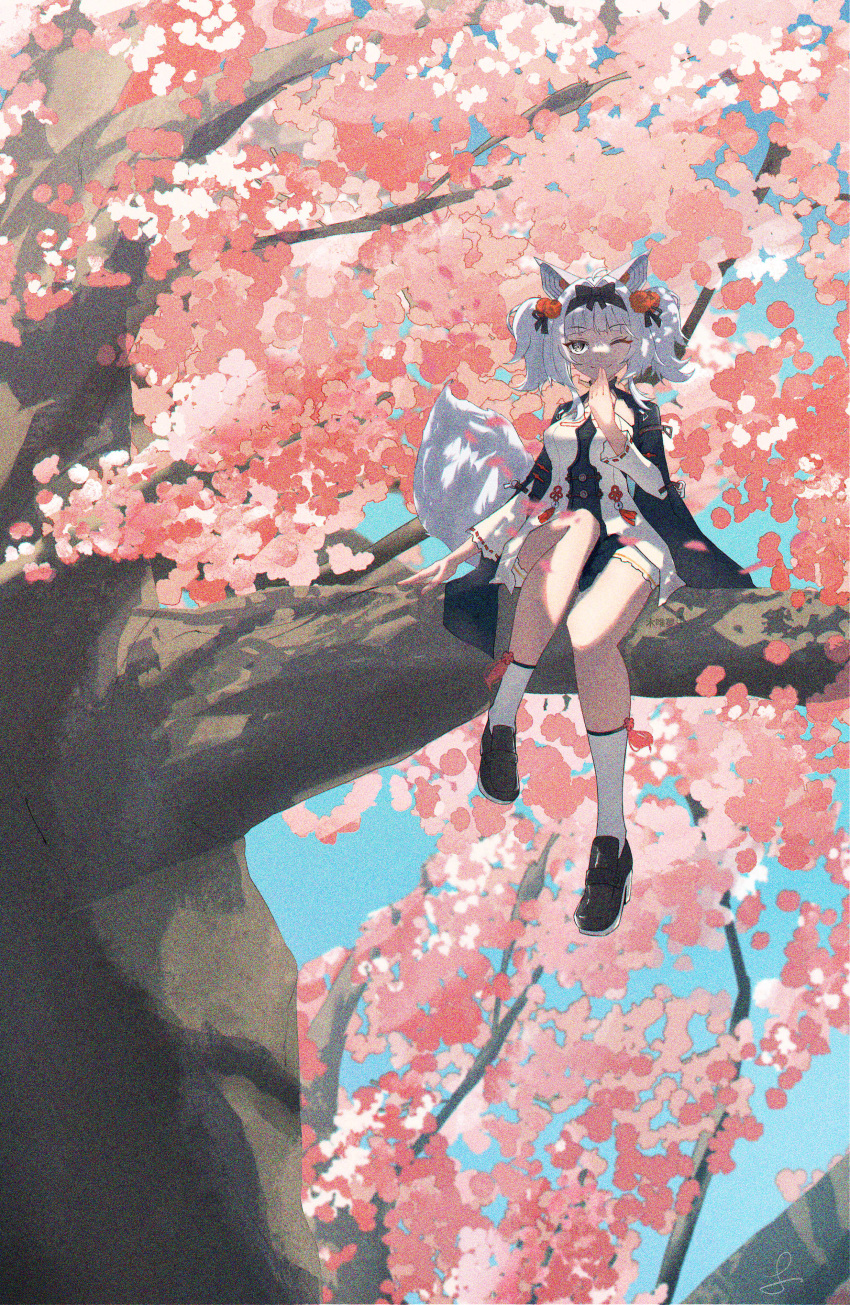 1girl absurdres animal_ears black_footwear black_hairband character_request check_character check_copyright cherry_blossoms copyright_request fake_animal_ears grey_eyes grey_hair hairband highres in_tree japanese_clothes long_hair looking_at_viewer no.21_(punishing:_gray_raven) one_eye_closed punishing:_gray_raven puyuyan sitting sitting_in_tree socks solo tree two_side_up white_socks wide_sleeves wolf_ears