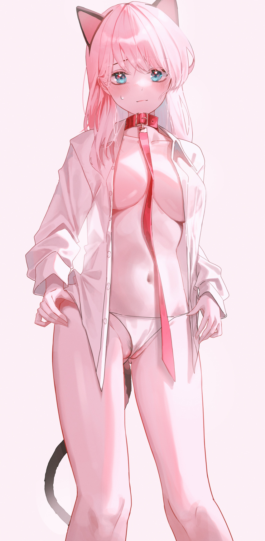 1girl absurdres animal_ears blue_eyes breasts cat_ears cat_tail closed_mouth collar collared_shirt domi_(hongsung0819) dress_shirt female_pubic_hair highres large_breasts leash long_hair long_sleeves looking_at_viewer navel open_clothes open_shirt original panties pink_hair pubic_hair pubic_hair_peek red_collar shirt simple_background solo standing tail unbuttoned underwear white_background white_panties white_shirt