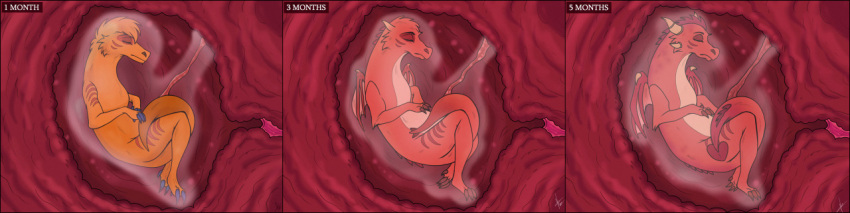 ambiguous_species amniotic_fluid amniotic_sac anthro anthro_transformation bodily_fluids dragon endosoma eyes_closed feral fully_inside genital_fluids gesture horn internal julis-rocks long_image male orange_body penetration pregnant red_body sealed sharpiethedergun signature sleeping solo species_transformation stripes tail tail_gesture tail_heart time_lapse transformation transformation_through_vore umbilical_cord unbirthing uterus vaginal vaginal_penetration vore wide_image wings