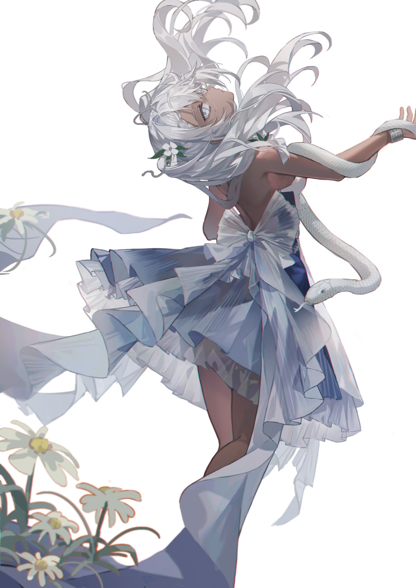 1girl absurdres backless_dress backless_outfit bare_shoulders blue_dress bracelet commentary dark-skinned_female dark_skin dress floating_hair flower frilled_dress frills from_behind girls'_frontline grey_eyes head_back highres hs.50_(girls'_frontline) jewelry long_hair looking_at_viewer looking_back simple_background sleepless_(wrysmile) snake solo twintails white_background white_hair