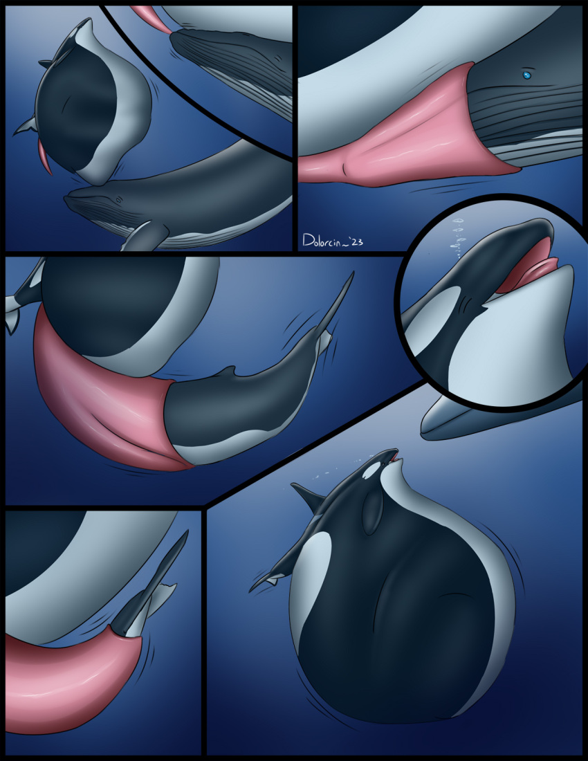 ambiguous_gender ambiguous_prey animal_genitalia animal_penis baleen_whale belly big_belly big_penis bloated cetacean cetacean_genitalia cetacean_penis cock_vore comic dolorcin dolphin duo erection feral feral_pred feral_prey genitals hi_res huge_penis humpback_whale hyper hyper_belly hyper_genitalia hyper_penis larger_prey male male_pred mammal marine mass_vore oceanic_dolphin orca penile penis simple_background smaller_pred soft_vore stuffing tapering_penis toothed_whale underwater vore water