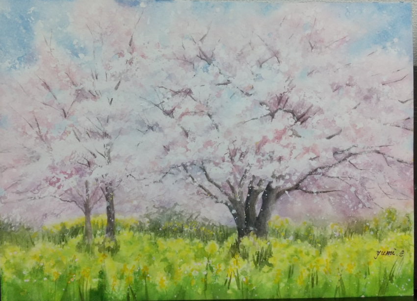 blue_sky cherry_blossoms day field flower flower_field highres miyuchan777 nature original painting_(medium) sky traditional_media tree watercolor_(medium) yellow_flower
