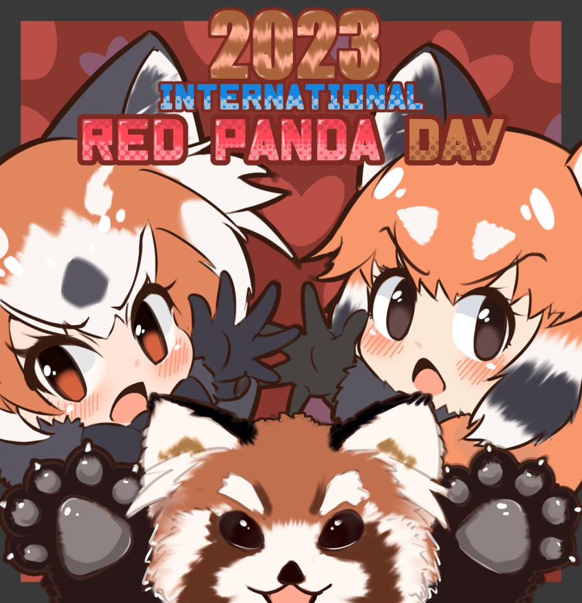 2girls animal animal_ears black_hair brown_background brown_eyes brown_hair extra_ears gloves heart highres kemono_friends lesser_panda_(kemono_friends) long_hair multiple_girls open_mouth red_panda red_panda_ears red_panda_girl scarf short_hair simple_background white_hair wonderful_waon