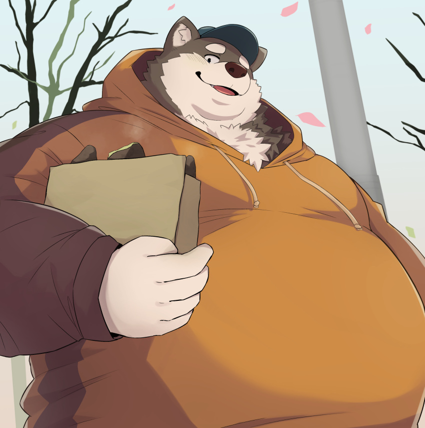 2023 absurd_res anthro belly big_belly canid canine canis clothing domestic_dog grey_body hat headgear headwear hi_res hoodie humanoid_hands kemono male mammal noctnoc obese obese_male outside overweight overweight_male plant solo topwear tree white_body