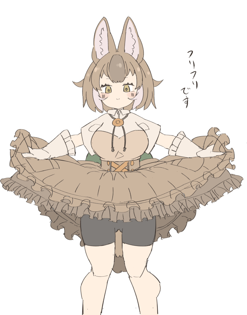 1girl animal_ears bike_shorts_under_skirt blush breasts brown_hair clothes_lift dhole_(kemono_friends) dog_ears dog_girl dog_tail extra_ears gloves highres kemono_friends kemono_friends_3 large_breasts looking_at_viewer multicolored_hair official_alternate_costume shirt short_hair skirt skirt_lift smile tail tosake6 two-tone_hair white_hair