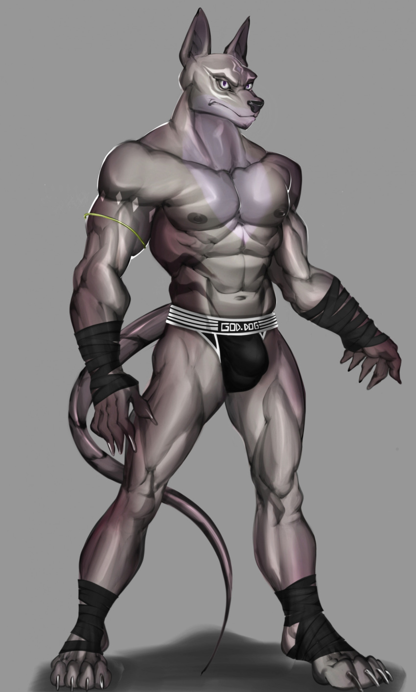 abs absurd_res another_eidos_of_dragon_vein_r anthro anubian_jackal canid canine canis clothing dagantfus_(artist) hi_res jackal jalam_(anothereidos_r) jockstrap male mammal muscular muscular_anthro muscular_male nipples pecs solo underwear