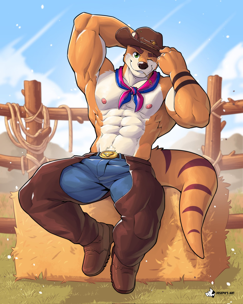 abs anjing_kampuss anthro areola biped clothed clothing cloud countershade_face countershade_torso countershading cowboy cowboy_hat grass hat headgear headwear hi_res looking_at_viewer male mammal muscular muscular_anthro muscular_male mustelid nipples one_eye_closed otter pecs plant pubes smile smiling_at_viewer solo topless topless_anthro topless_male wink winking_at_viewer