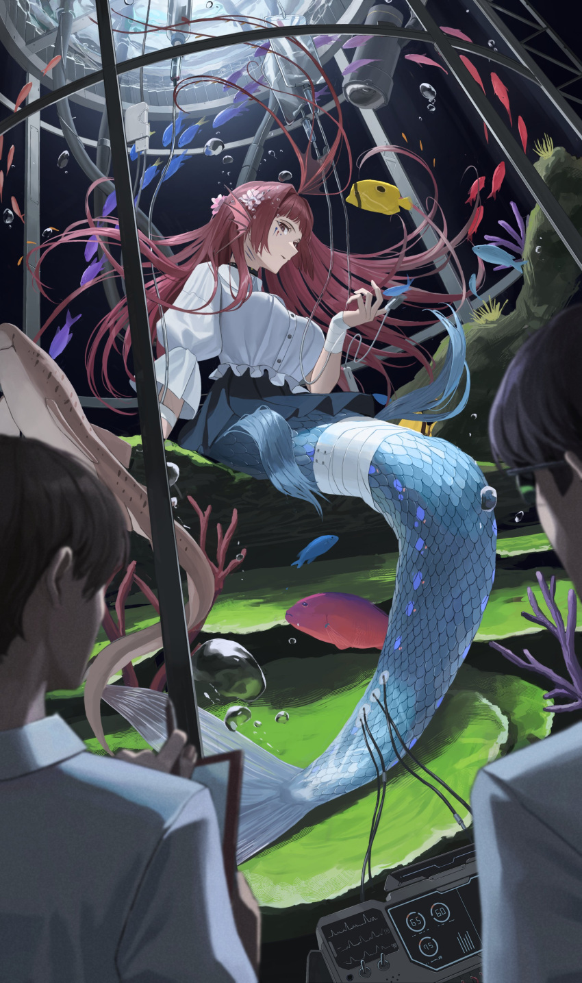 1girl 2boys absurdres air_bubble bandaged_arm bandaged_tail bandages black_skirt breasts brown_hair bubble clipboard commentary_request electrodes fins fish glasses head_fins highres holding holding_clipboard intravenous_drip large_breasts long_hair long_sleeves mermaid monster_girl multiple_boys original pulse_oximeter red_eyes red_hair saba-kann_(kannsaba) scales shirt skirt solo_focus stasis_tank underwater white_shirt