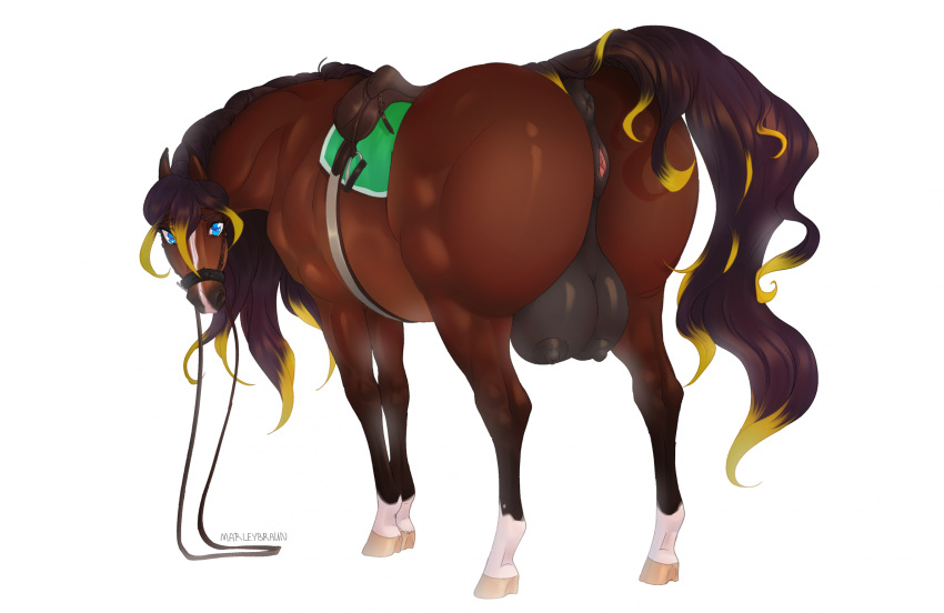 anatomically_correct anatomically_correct_genitalia anatomically_correct_pussy animal_genitalia animal_pussy anus big_butt big_teats blue_eyes bridle brown_body brown_fur brown_hair butt equid equine equine_genitalia equine_pussy female feral fur genitals hair hi_res hooves horse looking_at_viewer looking_back looking_back_at_viewer mammal marleybraun nipples pussy rear_view reins saddle simple_background solo teats white_background
