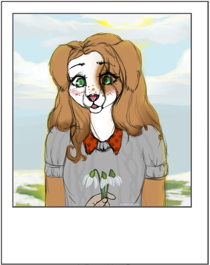 anthro blush brown_body brown_fur brown_hair canid canine canis clothed clothing cloudscape cloudy domestic_dog female field_background flower fur green_eyes hair hi_res light looking_at_viewer mammal multicolored_body multicolored_fur open_mouth out_of_frame outside pink_nose plant shiroichi_air shirt sketch sky spots spotted_body spotted_fur spring standing sun sunlight tongue topwear two_tone_body two_tone_fur white_body white_fur