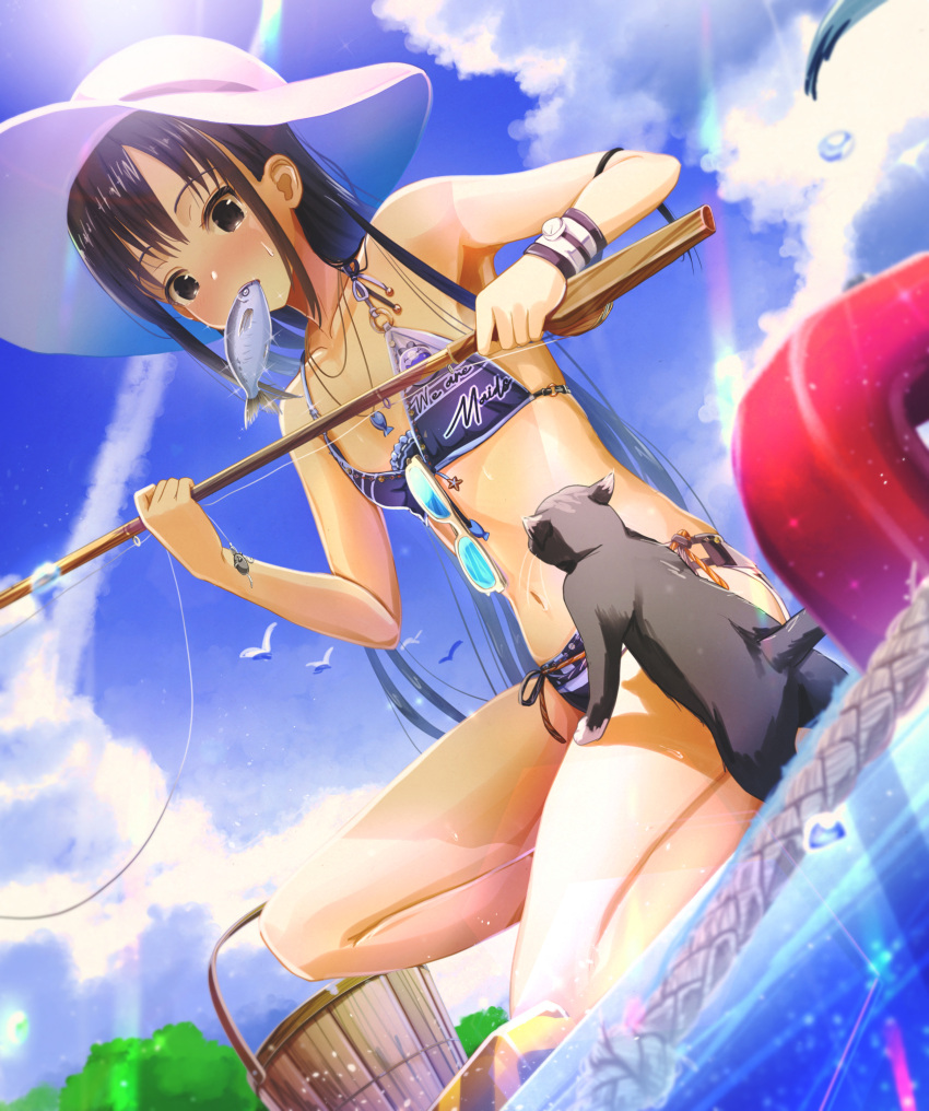 1girl abo_(kawatasyunnnosukesabu) animal bikini black_cat black_eyes black_hair breasts cat day fish_in_mouth fishing_rod hat highres holding holding_fishing_rod long_hair mouth_hold original outdoors small_breasts sunglasses swimsuit