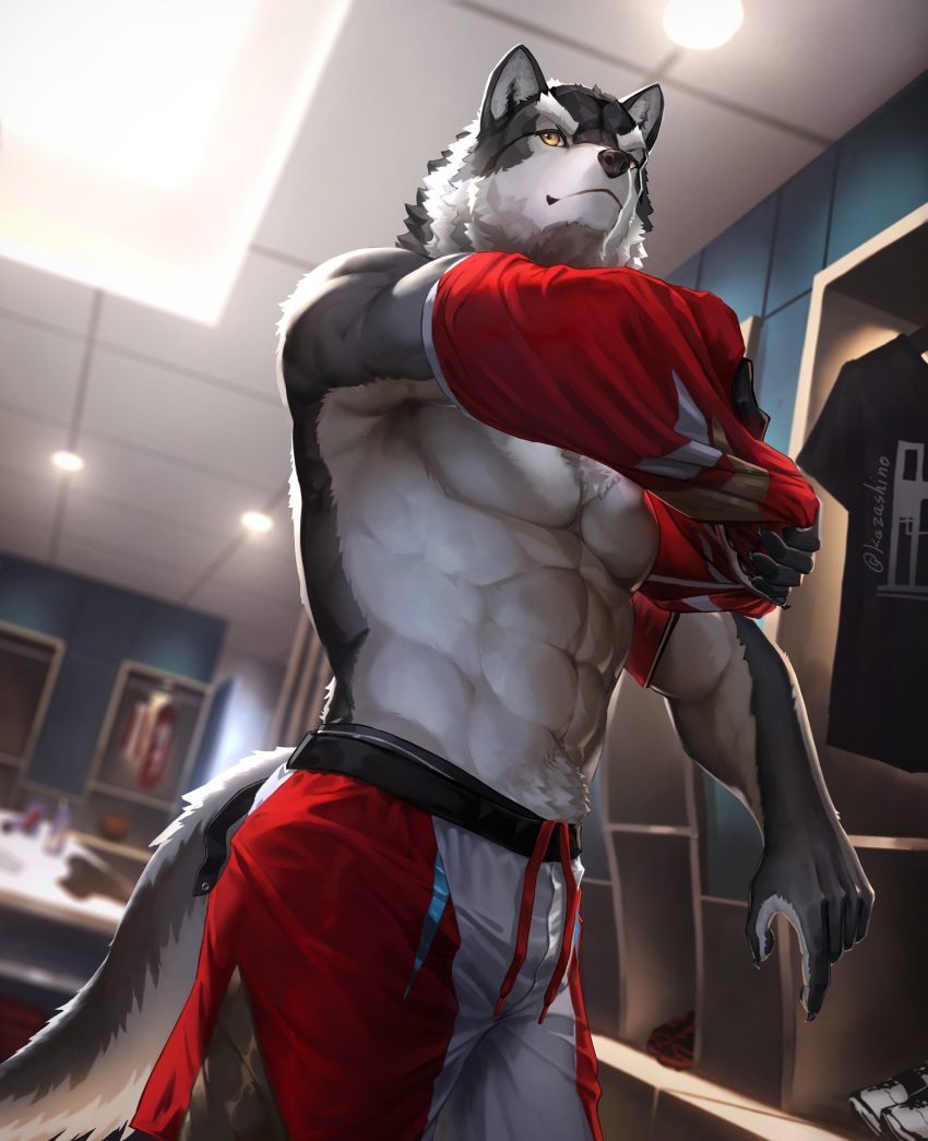 2023 abs amber_eyes anthro artist_name ball basketball basketball_uniform biceps blurred_background canid canine canis chest_tuft clothed clothing colored countershade_arms countershade_face countershade_tail countershade_torso countershading dressing dutch_angle featureless_chest fur grey_body grey_countershading grey_fur hi_res kazashino locker_room low-angle_view male mammal mouth_closed multicolored_body multicolored_fur muscular muscular_male pecs pubes putting_on_clothes red_clothing shirtless_anthro shirtless_male solo sport sportswear tail teeth topless topless_anthro topless_male tuft two_tone_body two_tone_fur uniform white_body white_clothing white_fur wolf