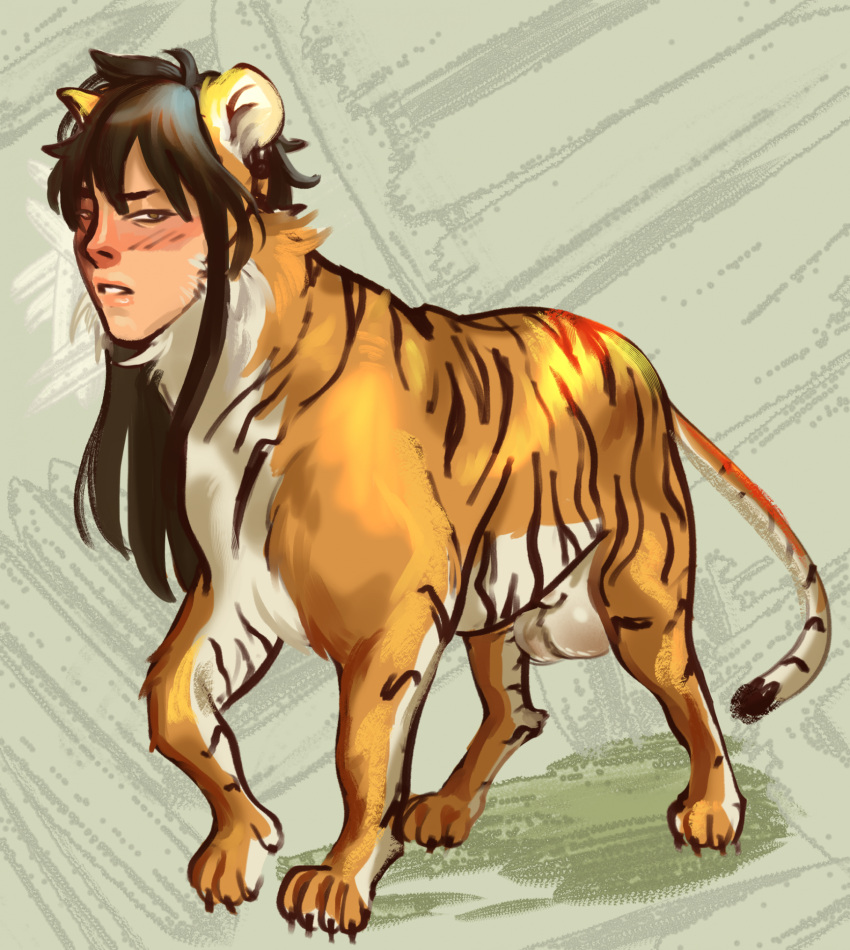 balls dwaynekoya felid feral genitals hi_res human_faced_feral humanoid_face japanese_style male mammal pantherine solo stripes tiger transformation