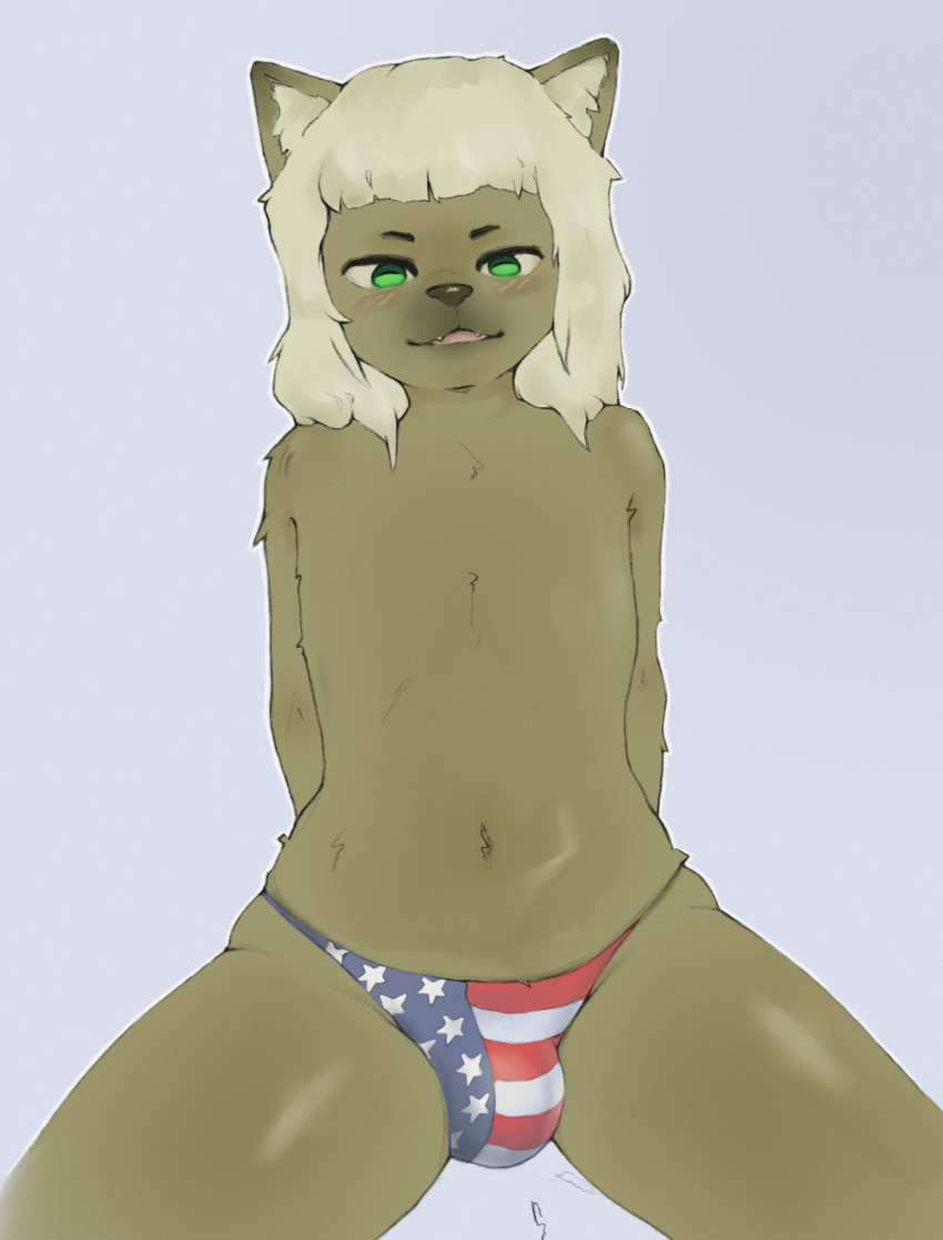 absurd_res anthro bulge clothing domestic_cat felid feline felis girly hair hi_res male mammal mostly_nude neeno simple_background solo stars_and_stripes thick_thighs underwear united_states_of_america