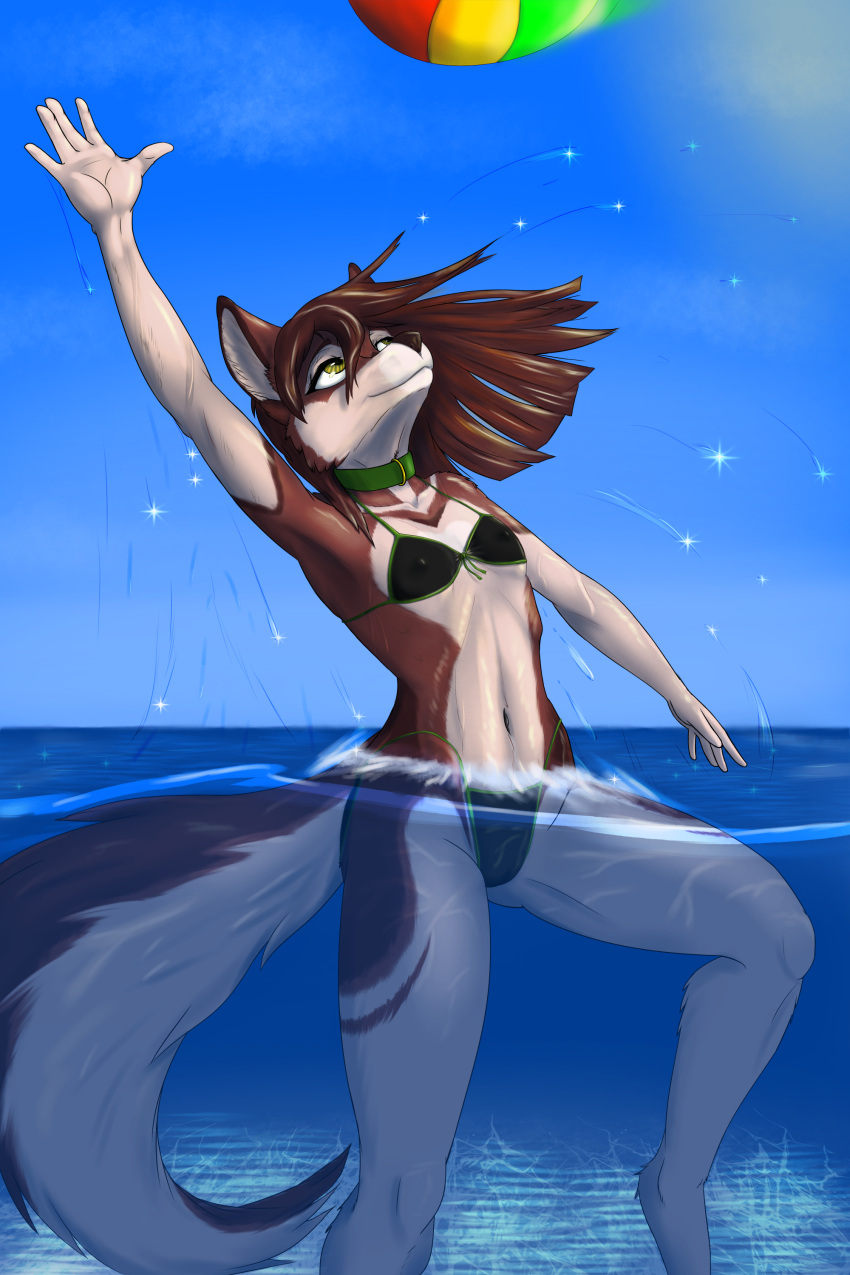 absurd_res anonymous_artist anthro canid canine canis female hi_res mammal skylar_zero solo wolf