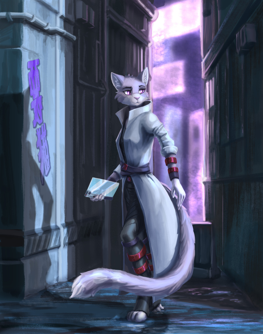 absurd_res anthro clothing domestic_cat felid feline felis female fur graffiti hi_res kirillk mammal multicolored_body multicolored_fur neon_lights outside purple_eyes solo standing