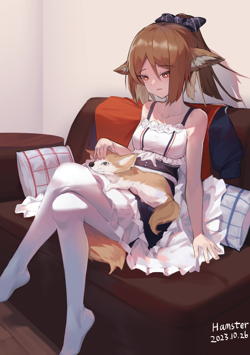 1girl absurdres animal_ears arknights bare_shoulders blue_bow bow brown_eyes brown_hair crossed_legs dress fennec_fox fox_ears fox_girl fox_tail hair_bow highres jacket pantyhose perfumer_(arknights) ponytail sitting striped striped_bow tail unworn_jacket white_dress white_pantyhose whitemaus