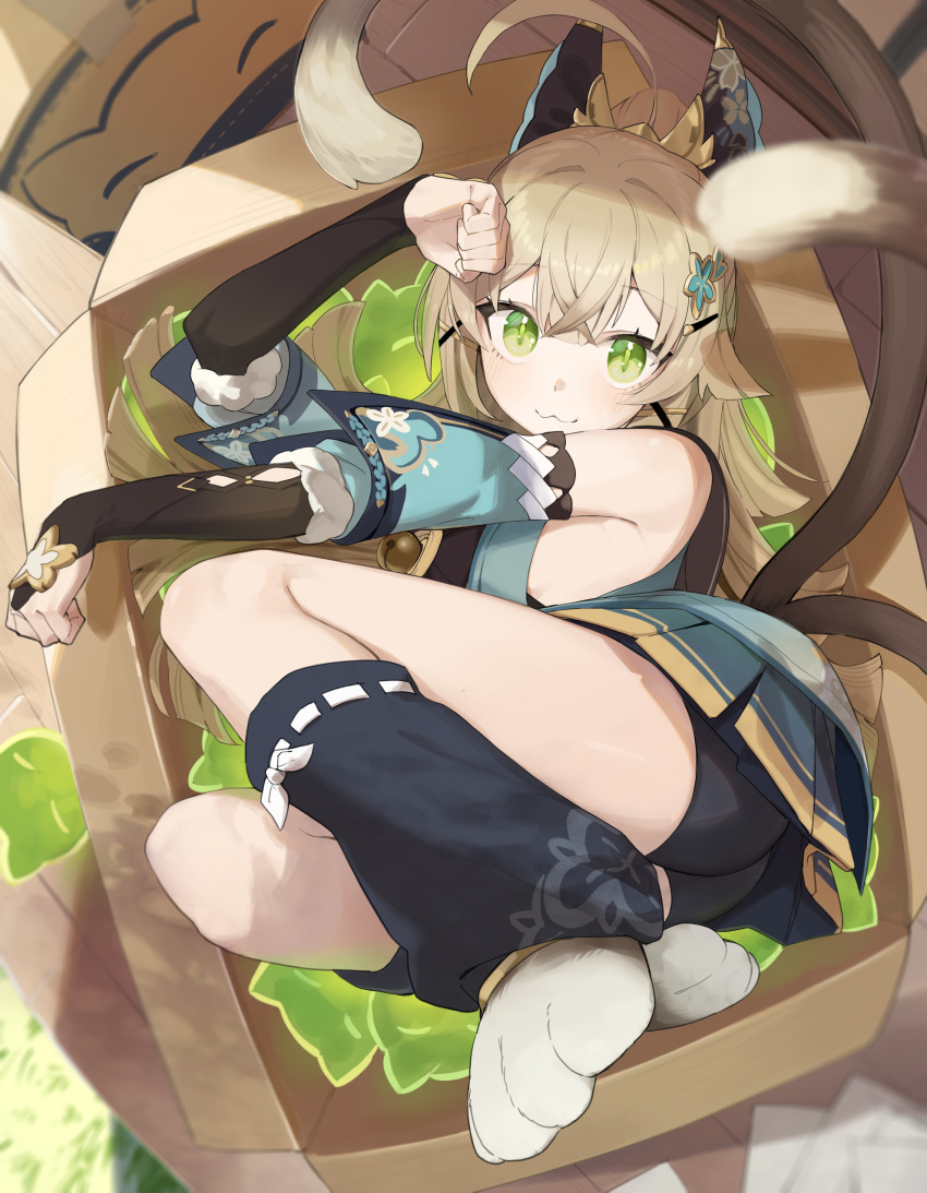 1girl :3 absurdres ahoge animal_ears bare_shoulders bell black_shorts box cardboard_box cat_feet cat_tail crossed_bangs detached_sleeves genshin_impact green_eyes hair_ornament hairclip highres in_box in_container kirara_(genshin_impact) lempika long_hair looking_at_viewer loose_socks multiple_tails nekomata paw_pose pleated_skirt short_shorts shorts skirt sleeveless_coat socks solo tail two_tails