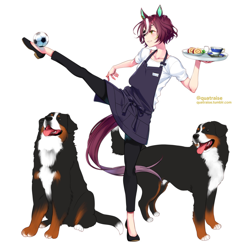 1girl animal animal_ears apron ball brown_hair collarbone commentary cup dog employee_uniform food full_body highres holding horse_ears horse_girl horse_tail multicolored_hair quatraise real_life shirt smile soccer_ball solo standing standing_on_one_leg tail tanino_gimlet_(umamusume) twitter_username two-tone_hair umamusume uniform white_background white_hair white_shirt yellow_eyes yogibo